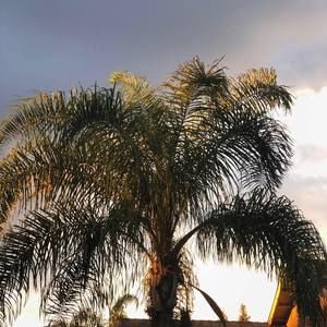 Meet your Posher, Annett